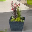 Mini vijver blauw met planteneiland