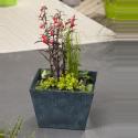 Mini vijver blauw vierkant compleet