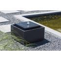 Sonora waterornament